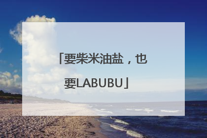 要柴米油盐，也要LABUBU