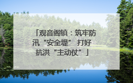 观音阁镇：筑牢防汛“安全堤” 打好抗洪“主动仗”