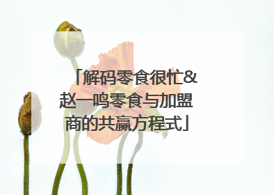 解码零食很忙&赵一鸣零食与加盟商的共赢方程式
