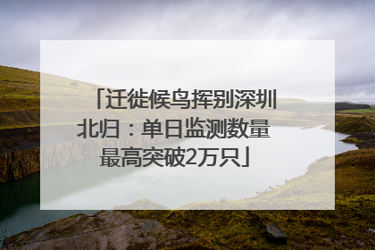 迁徙候鸟挥别深圳北归：单日监测数量最高突破2万只
