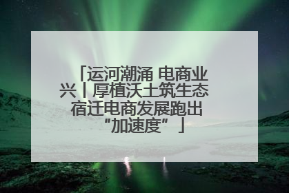 运河潮涌 电商业兴丨厚植沃土筑生态 宿迁电商发展跑出“加速度”