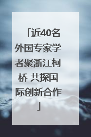 近40名外国专家学者聚浙江柯桥 共探国际创新合作