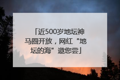 近500岁地坛神马圈开放，网红“地坛的海”邀您尝