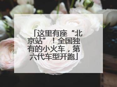 这里有座“北京站”！全国独有的小火车，第六代车型开跑