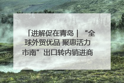进解促在青岛｜“全球外贸优品 聚惠活力市南”出口转内销进商超专场活动启动
