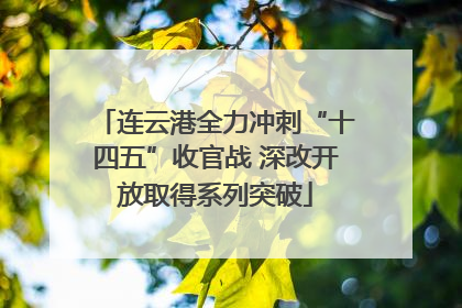 连云港全力冲刺“十四五”收官战 深改开放取得系列突破
