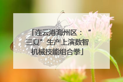 连云港海州区：“三夏”生产上演数智机械技能组合拳