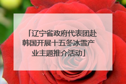 辽宁省政府代表团赴韩国开展十五冬冰雪产业主题推介活动