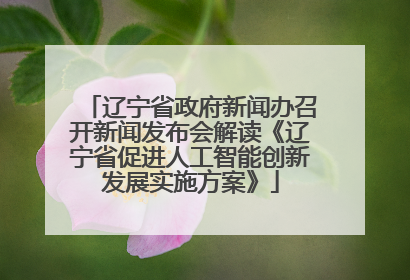辽宁省政府新闻办召开新闻发布会解读《辽宁省促进人工智能创新发展实施方案》