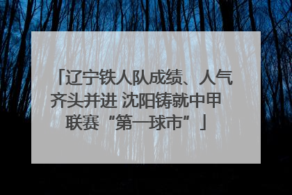 辽宁铁人队成绩、人气齐头并进 沈阳铸就中甲联赛“第一球市”