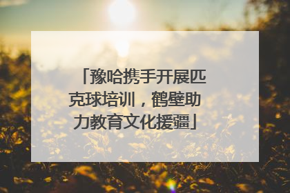 豫哈携手开展匹克球培训，鹤壁助力教育文化援疆