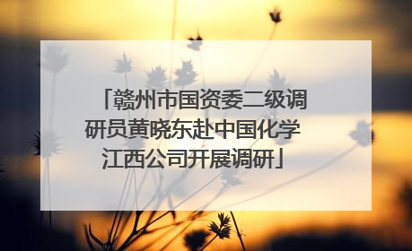 赣州市国资委二级调研员黄晓东赴中国化学江西公司开展调研