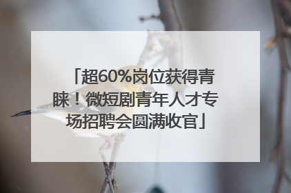 超60%岗位获得青睐！微短剧青年人才专场招聘会圆满收官