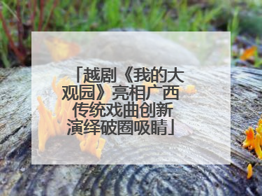 越剧《我的大观园》亮相广西 传统戏曲创新演绎破圈吸睛