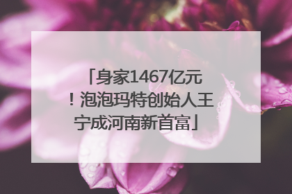 身家1467亿元！泡泡玛特创始人王宁成河南新首富
