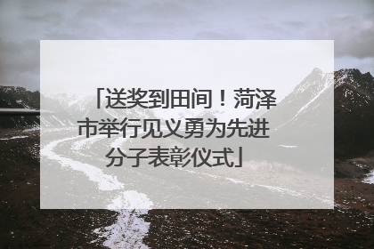 送奖到田间！菏泽市举行见义勇为先进分子表彰仪式