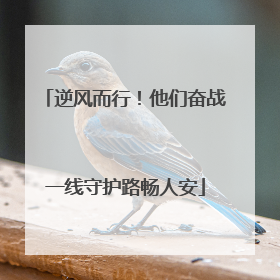 逆风而行！他们奋战一线守护路畅人安