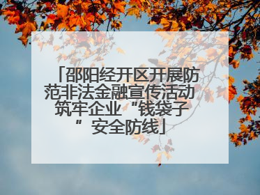 邵阳经开区开展防范非法金融宣传活动 筑牢企业“钱袋子”安全防线