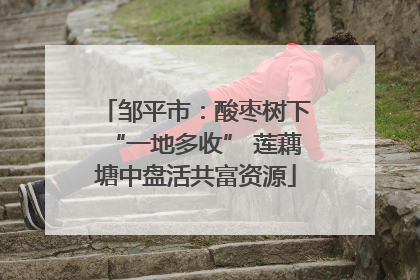 邹平市：酸枣树下“一地多收” 莲藕塘中盘活共富资源