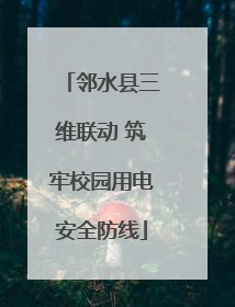邻水县三维联动 筑牢校园用电安全防线