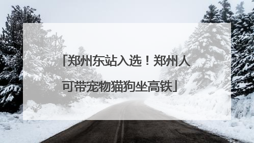 郑州东站入选！郑州人可带宠物猫狗坐高铁