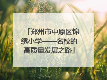 郑州市中原区锦绣小学——名校的高质量发展之路