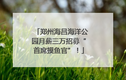 郑州海昌海洋公园月薪三万招募“首席摸鱼官”！