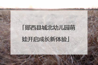 郧西县城北幼儿园萌娃开启成长新体验
