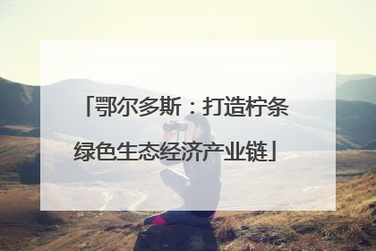 鄂尔多斯：打造柠条绿色生态经济产业链