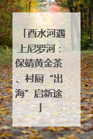 酉水河遇上尼罗河：保靖黄金茶、村厨“出海”启新途