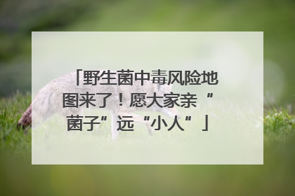 野生菌中毒风险地图来了！愿大家亲“菌子”远“小人”
