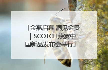 金燕启幕 洞见金贵｜SCOTCH燕窝中国新品发布会举行