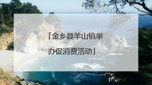 金乡县羊山镇举办促消费活动