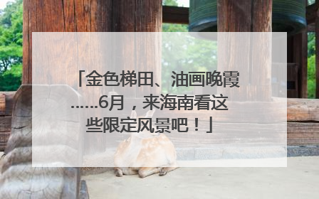 金色梯田、油画晚霞……6月，来海南看这些限定风景吧！