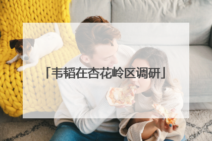 韦韬在杏花岭区调研