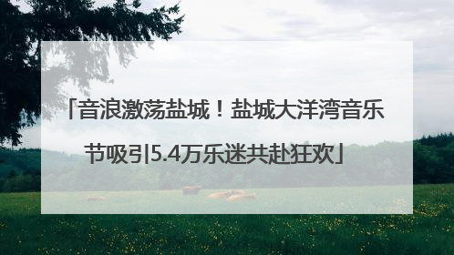 音浪激荡盐城！盐城大洋湾音乐节吸引5.4万乐迷共赴狂欢
