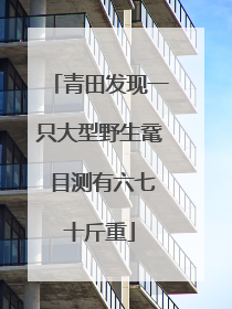 青田发现一只大型野生鼋 目测有六七十斤重