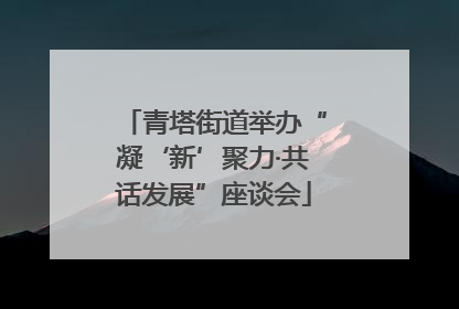 青塔街道举办“凝‘新’聚力·共话发展”座谈会