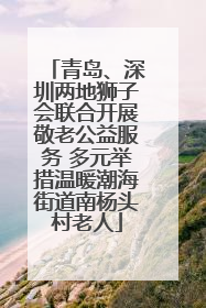 青岛、深圳两地狮子会联合开展敬老公益服务 多元举措温暖潮海街道南杨头村老人