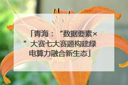 青海：“数据要素×”大赛七大赛题构建绿电算力融合新生态