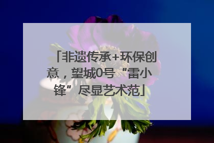 非遗传承+环保创意，望城0号“雷小锋”尽显艺术范
