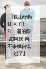 铁山杨梅红透了！一年一遇的酸甜风暴 再不来就真错过了