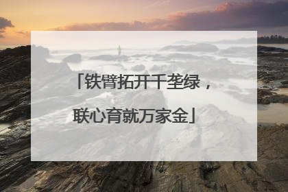 铁臂拓开千垄绿，联心育就万家金