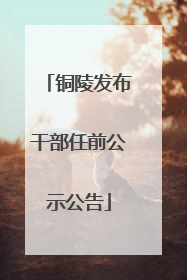 铜陵发布干部任前公示公告
