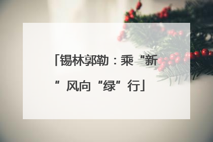 锡林郭勒：乘“新”风向“绿”行