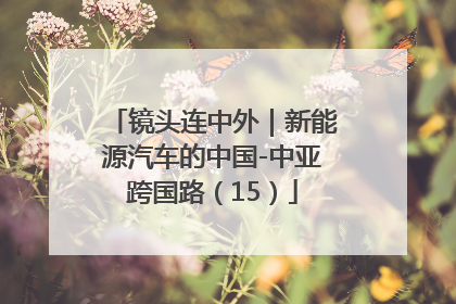 镜头连中外｜新能源汽车的中国-中亚跨国路（15）