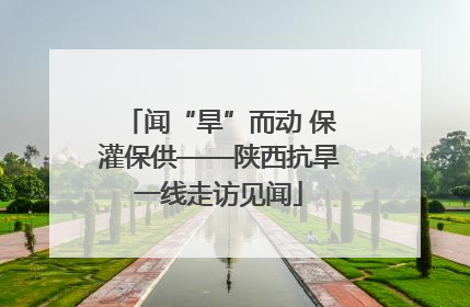 闻“旱”而动 保灌保供——陕西抗旱一线走访见闻