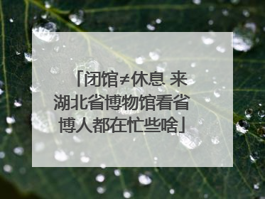 闭馆≠休息 来湖北省博物馆看省博人都在忙些啥
