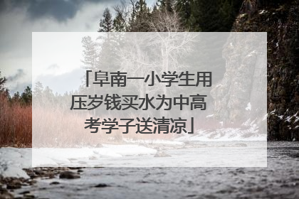 阜南一小学生用压岁钱买水为中高考学子送清凉
