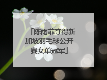 陈雨菲夺得新加坡羽毛球公开赛女单冠军